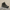 Chaussures de randonnée montantes pour homme en coloris noir et vert, posées sur un rocher. Ce modèle robuste dispose d’une semelle crantée offrant une bonne accroche, avec des renforts à l’avant et un maintien renforcé de la cheville pour les terrains exigeants.