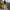 Femme marchant en montagne avec un pantalon beige Passion Randonnée, équipée de bâtons de randonnée sur un chemin alpin.