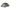 Tente de camping camouflage Passion Randonnée présentée sur fond clair, avec forme dôme, toile légère et ouverture frontale pour les sorties outdoor.