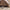 Tente de camping familiale automatique Passion Randonnée, en polyester beige et marron, pouvant accueillir 3 à 4 personnes, montage instantané, idéale pour la plage ou le parc.