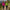 Deux femmes portant des vestes de randonnée Passion Randonnée rose et verte sur un sentier de montagne, avec bâtons de marche et sacs à dos.