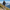 Batons anti-choc Passion Randonnee en trekking de montagne, stabilite maximale.