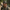 Casquette camouflage plate Passion Randonnee portee en randonnee, look discret.