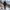 Femme portant une doudoune de trekking grand froid Passion Randonnee, vue de face.