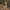 Detail du tissu camouflage du short de randonnee Passion Randonnee.