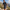 Short randonnee homme confort outdoor Passion Randonnee, vue de face.