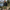 Profil du short de randonnee mixte confort trekking Passion Randonnee.