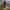 Short velo homme pour randonnee sportive Passion Randonnee, vue de face.