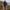 Vue de dos d'une veste de trekking homme chaude et coupe-vent Passion Randonnee.