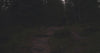 Randonneur marchant en forêt de nuit avec une lampe frontale, idéal pour illustrer la randonnée nocturne, le trekking et l’équipement outdoor de Passion Randonnée.